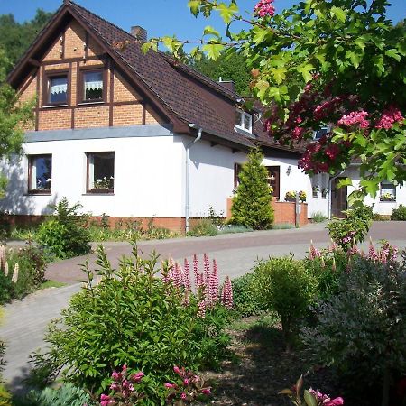 Appartement 2 Garten Bergen Auf Rugen Dış mekan fotoğraf