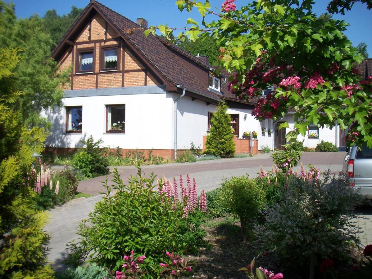 Appartement 2 Garten Bergen Auf Rugen Dış mekan fotoğraf